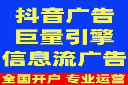 SEO与SEM融合策略：成功案例解析